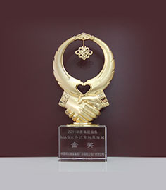 2011年度MAS业务金奖