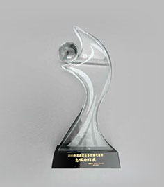 2010年度集团业务拓展代理商忠诚合作奖